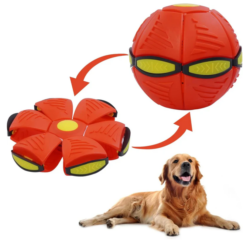 ZoomBall- Bola voadora para cães [DIVERSÃO E SAÚDE]