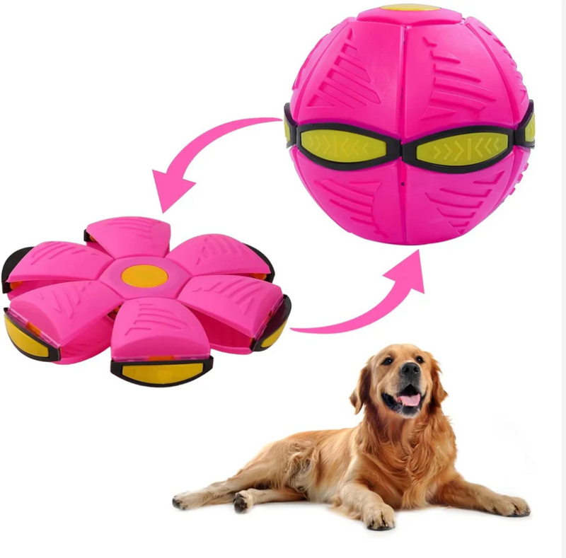 ZoomBall- Bola voadora para cães [DIVERSÃO E SAÚDE]