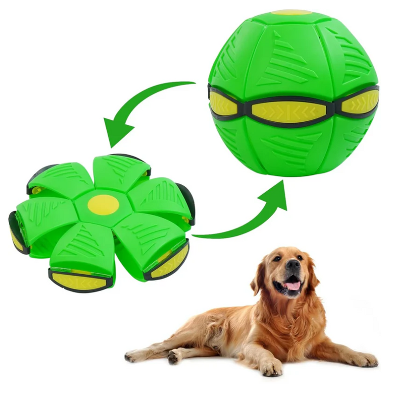 ZoomBall- Bola voadora para cães [DIVERSÃO E SAÚDE]